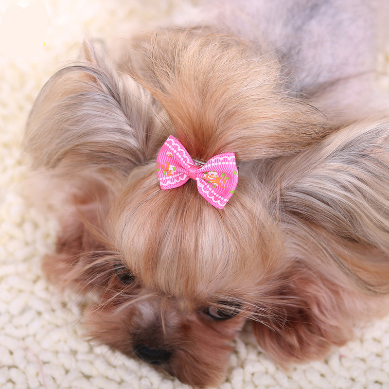 New Hairpin for Dogs Kitten Pu - Pet Supplies York recension och pris