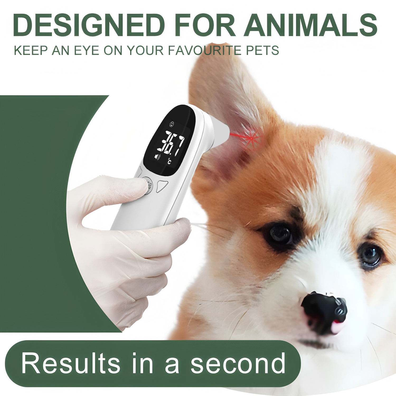 Pet Ear Digital Thermometer No - Pet Supplies Warehouse recension och pris