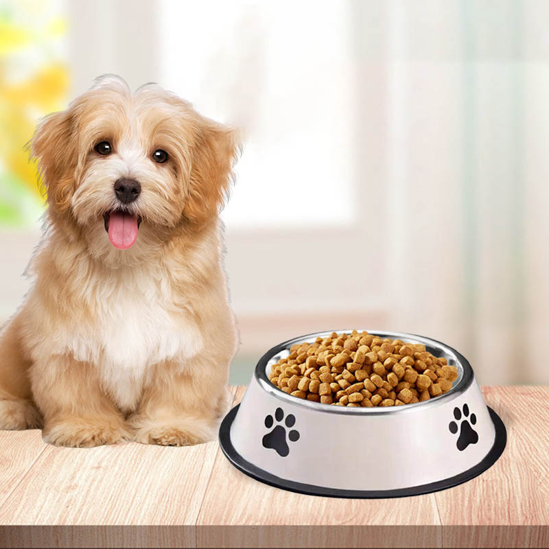 Stainless Steel Large Capacity - Pet Supplies Hours recension och pris