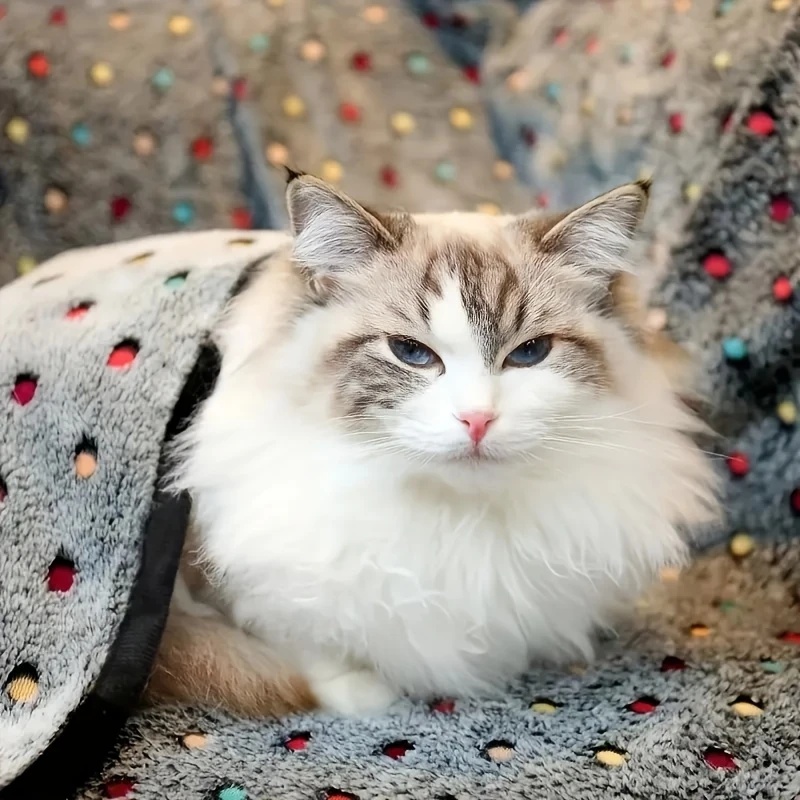 3PCS Soft Fluffy Pet Blanket C - Pet Supplies Warehouse recension och pris